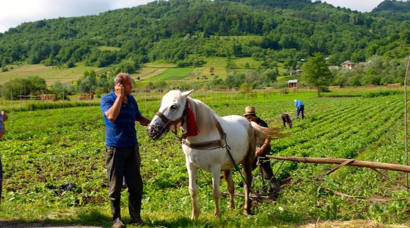old Agriculture- Tour in Maramures