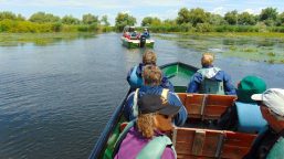 Best of Danube Delta uncovered miracles